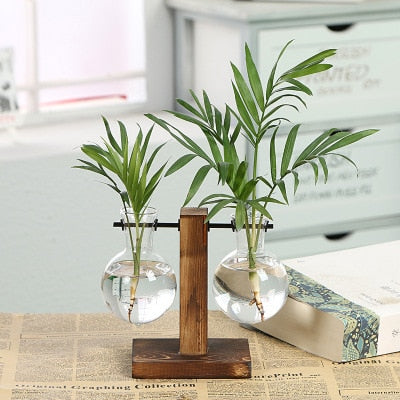 AquaVueGrow Vases