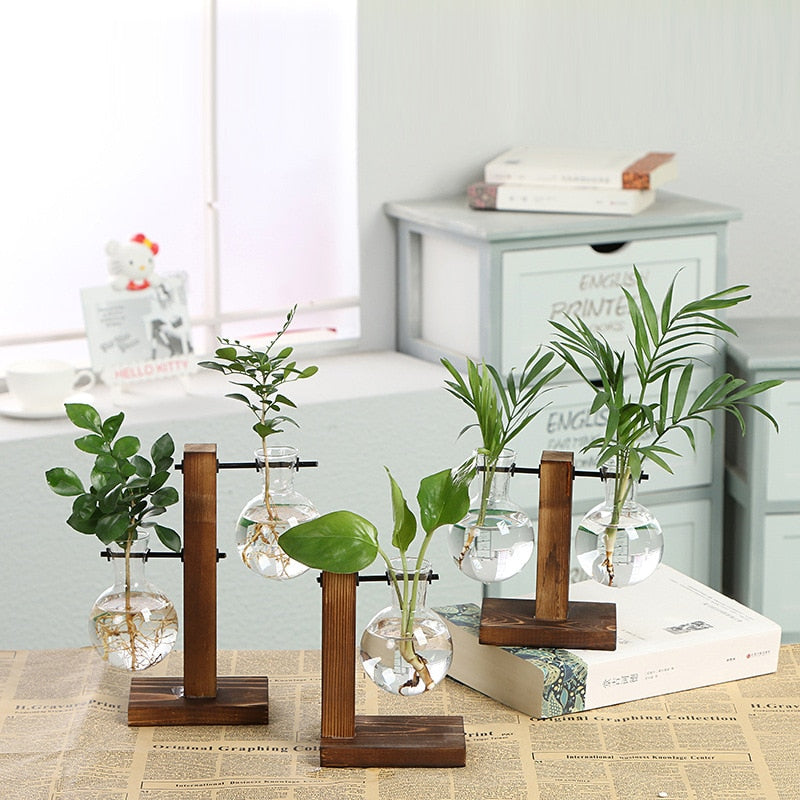 AquaVueGrow Vases