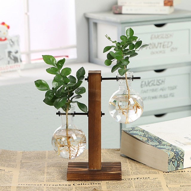 AquaVueGrow Vases