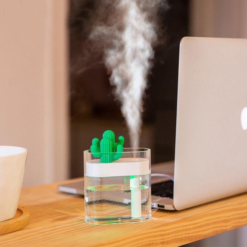 CactusMist 160ML Humidifier